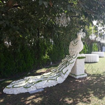 ماکت سازی و مدلسازی سه بعدی طاووس با استفاده از متریال فوم و گل آرایی جهت دکوراسیون باغ تالار